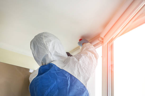 Why You Should Choose Our Mold Remediation Services in Whitewright, TX